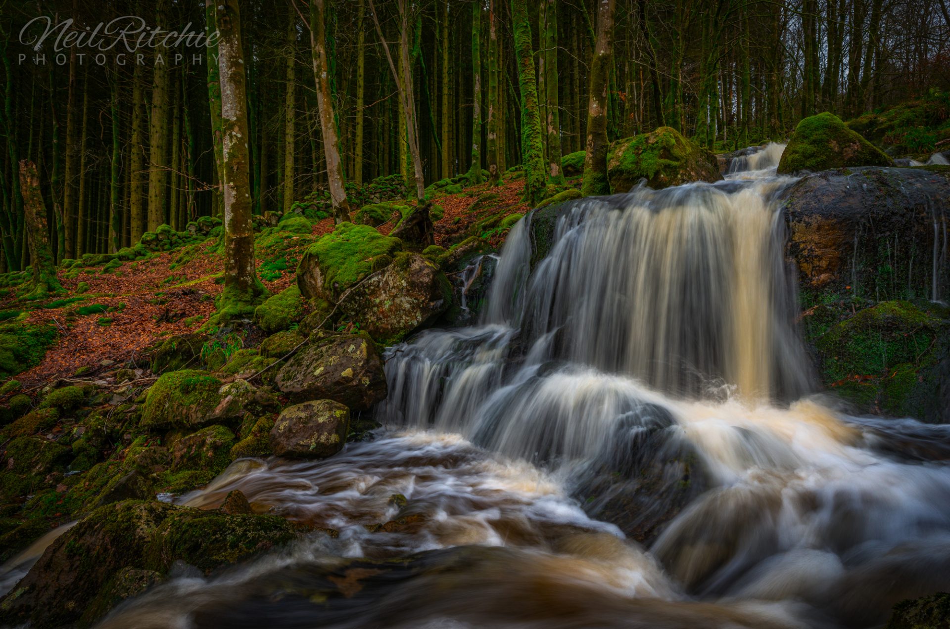 Lowran Burn